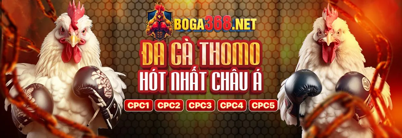 Đá gà kịch tính tại netwin apk
