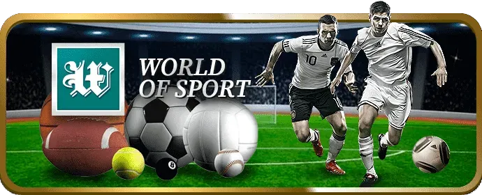 Biểu tượng chơi có trách nhiệm của netwin apk