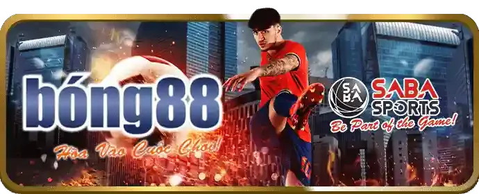 Cá cược thể thao đa dạng netwin apk